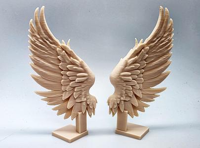 Pair of Angel Wings on Stands