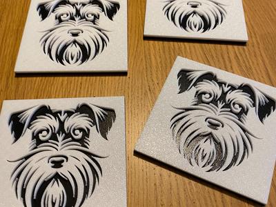 Schnauzer