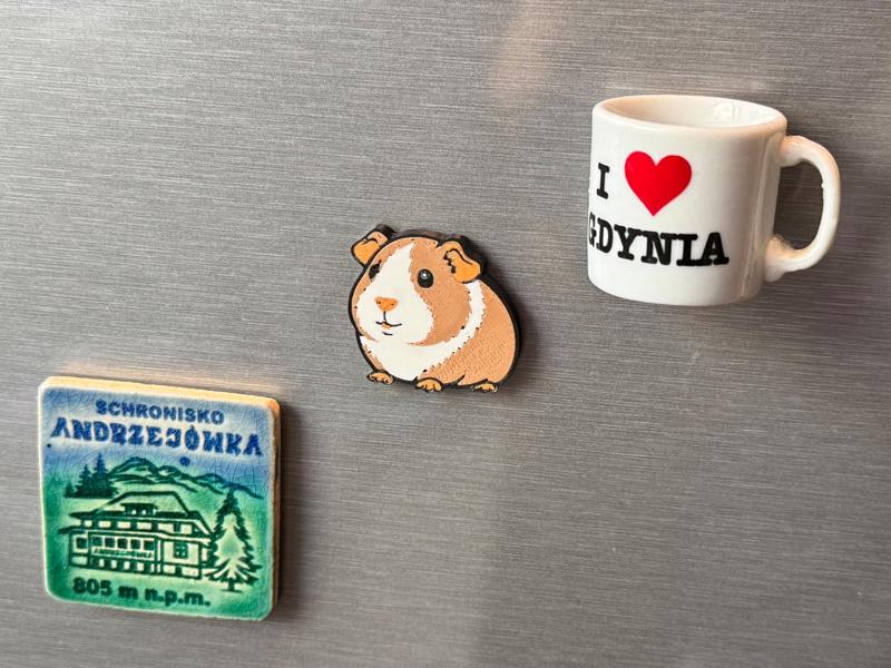 Cavia (Guinea Pig) - Fridge magnet