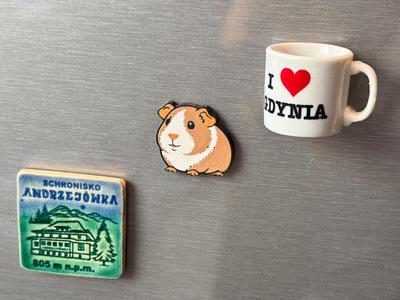 Cavia (Guinea Pig) - Fridge magnet