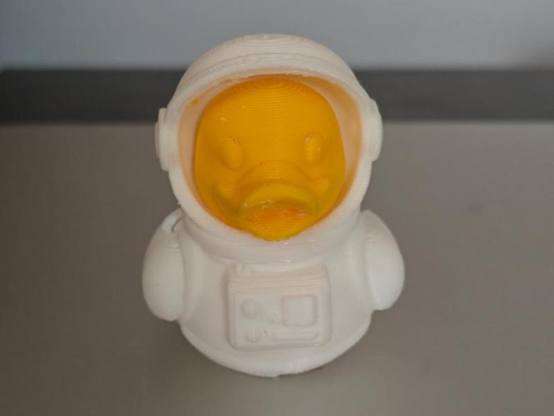 Astronaut Duck