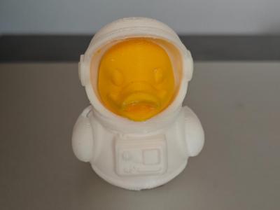 Astronaut Duck