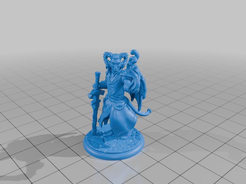 Devilish winged Tiefling