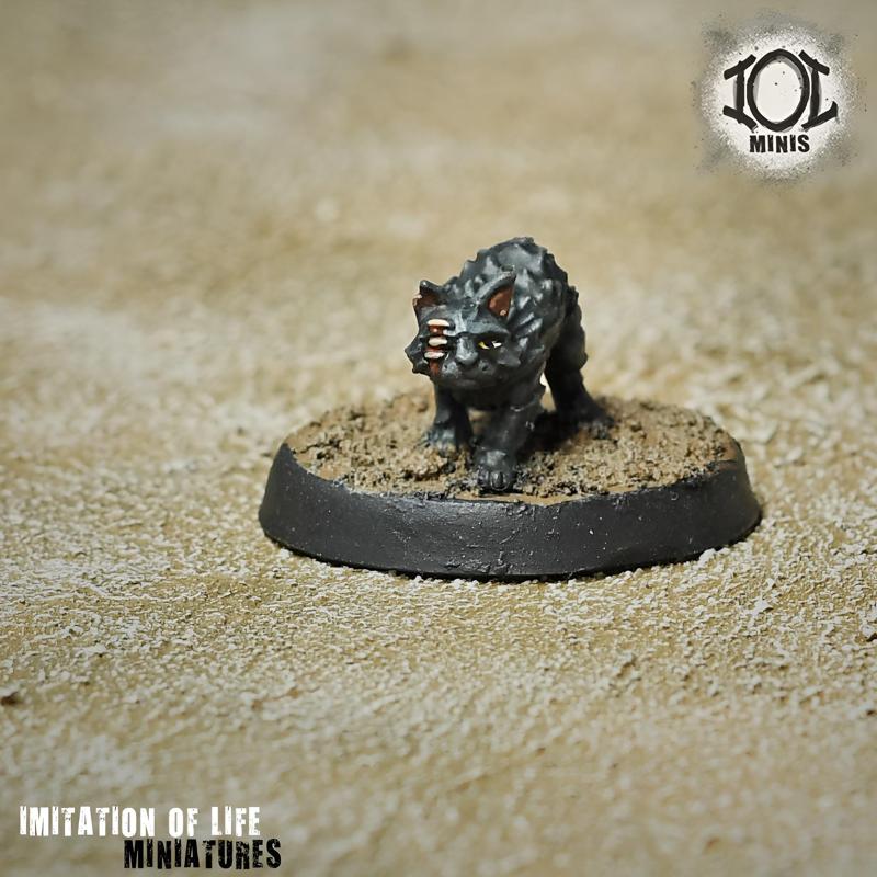 Afterthought the Zombie cat