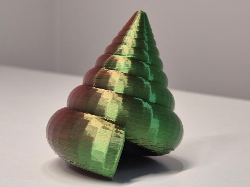 Spiral Sea Snail Shell