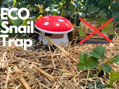 Mushroom Snail Trap – Cute Garden Protector