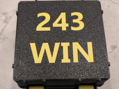243 Winchester 100rnd Ammo Box