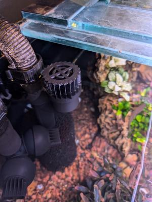 Fluval FX4 FX6 Skimmer Intake