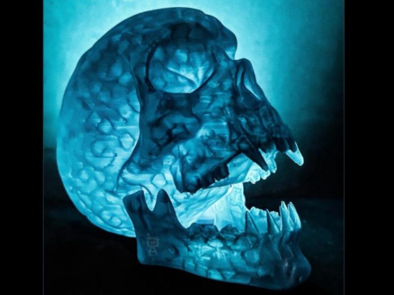 Vampire Skull DA
