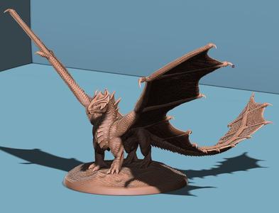 Young Brass Dragon