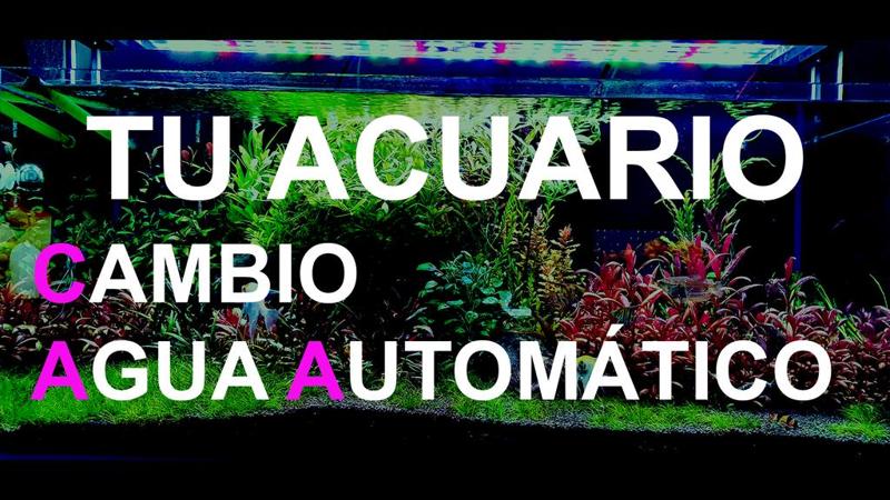 Aquarium auto water change