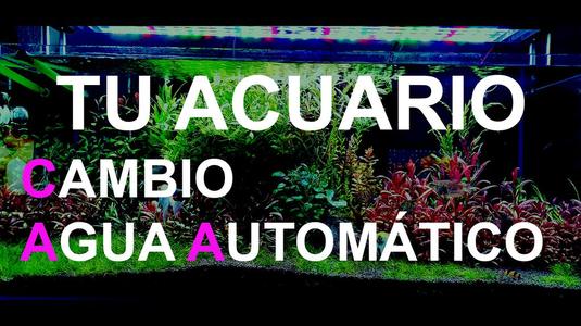 Aquarium auto water change