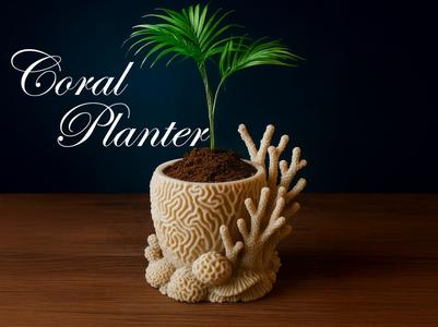 Coral Reef Planter – Ocean-Inspired Organic Beauty