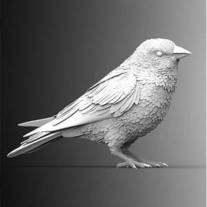 bird