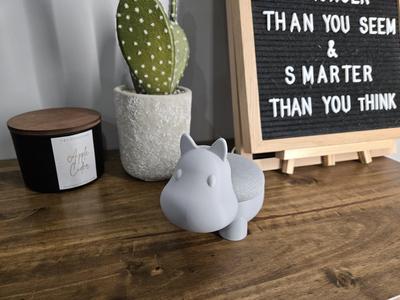 Cute Hippo Google Home Mini / Nest Mini Holder