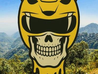 Yellow Ranger Skull Wallart