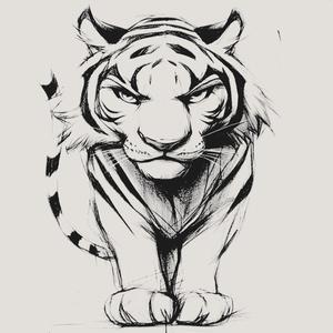 Grumpy Tiger