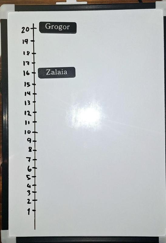 Magnetic initiative tracker with custom names