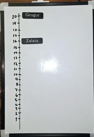 Magnetic initiative tracker with custom names