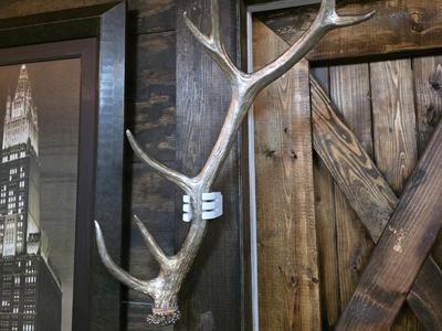 "Antler 1.0" Wall Mount