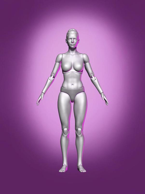 Female Articulated Action Figure