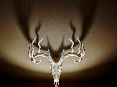 "Twisted" Whitetail Deer Skull