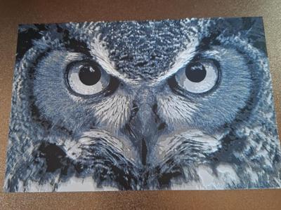 Owl eyes hueforge