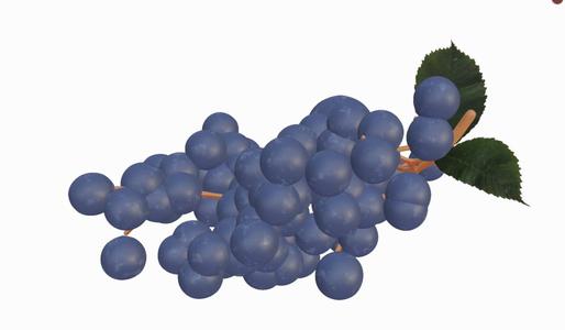 Impropriate model files - Realistic Grapes Model