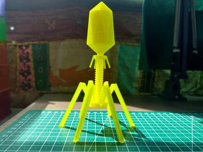 Bacteriophage model
