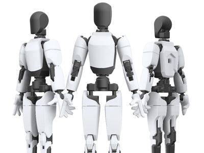 Articulated Tesla Robot Optimus dummy 13 no supports