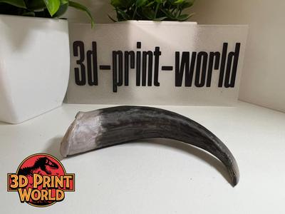 Grizzly Bear Claw – Life-Size