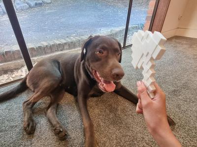 Minecraft Axe