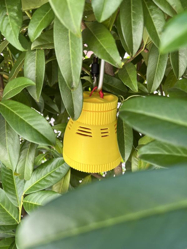 StingStopp 4001 - improved Wasp trap (also as live trap version)