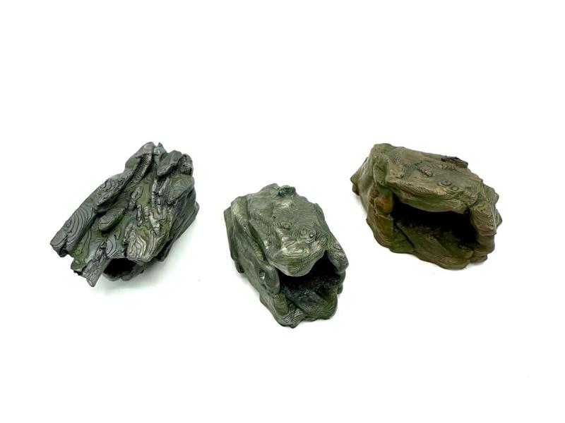 Jumping Spider Hides