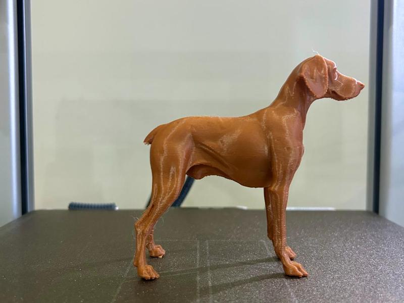 Hyper Realistic German Shorthaired pointer Dog