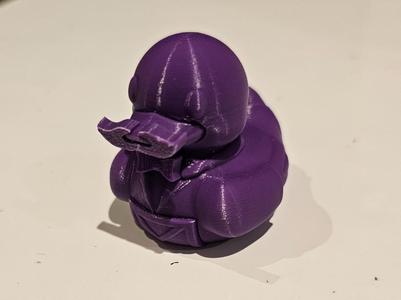 Jeep Ducks - Mansonic Duck