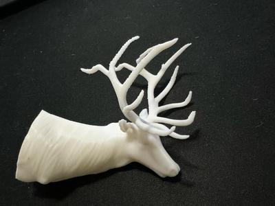 elk shoulder mount