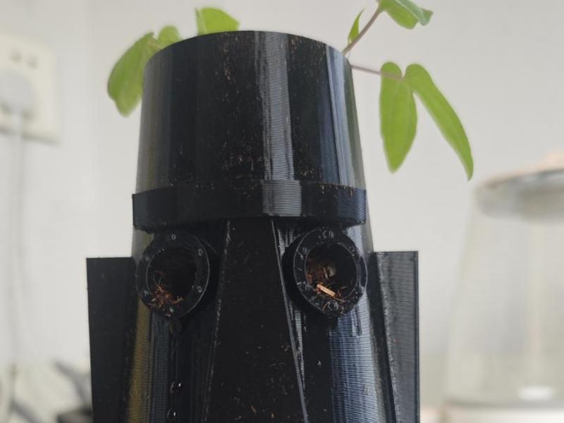 SpongeBob and Squidward houses planter