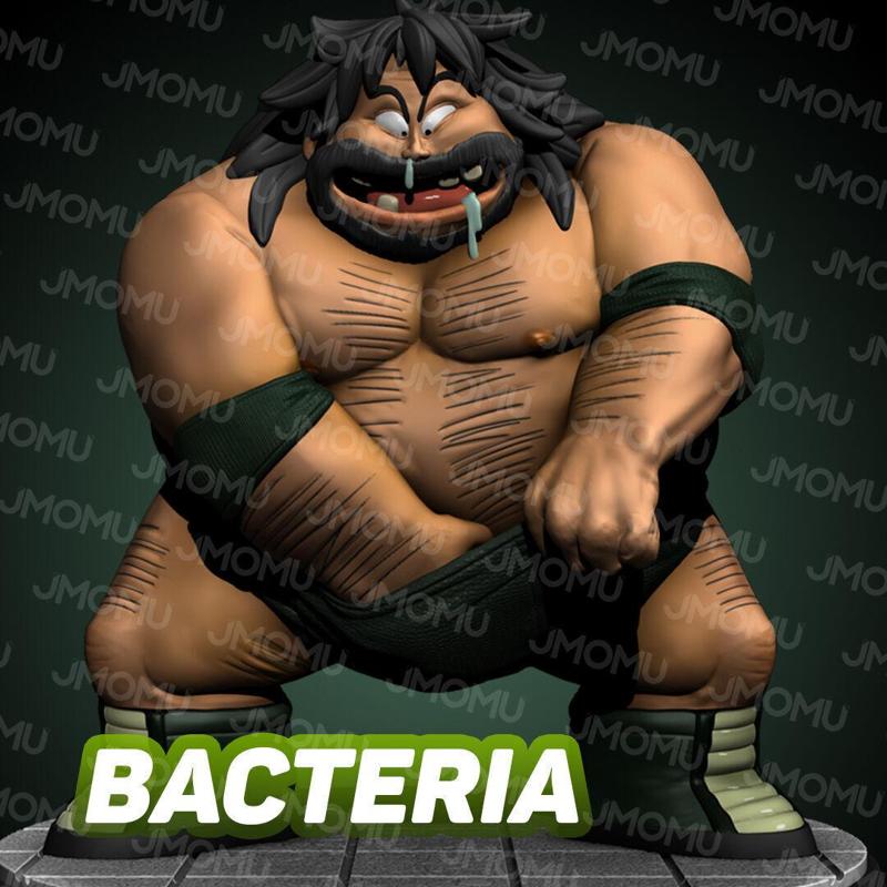 Bacteria