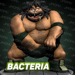 Bacteria