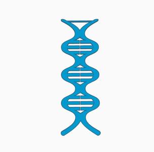 DNA wall art   