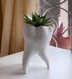 Tooth Vase,  Dentist Gift