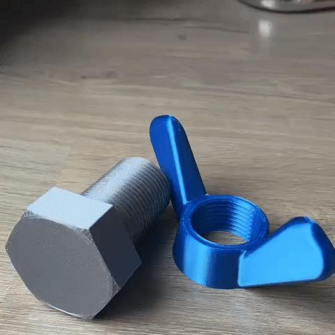 Bolt and wing nut