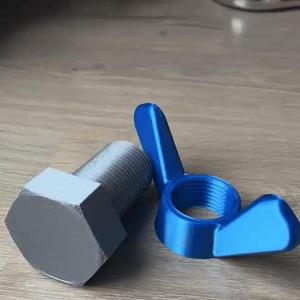 Bolt and wing nut
