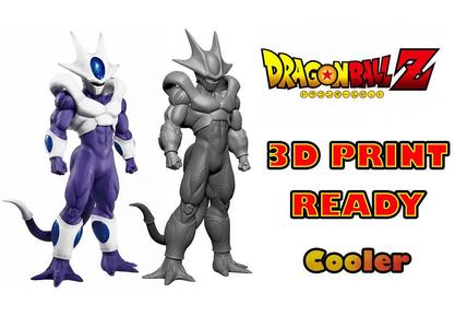 Cooler