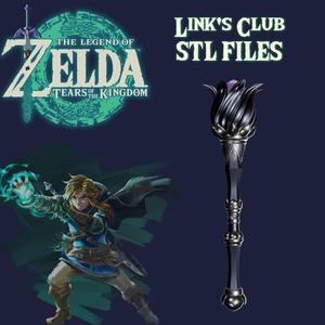 Link Flower Club Zelda Tears of The Kingdom