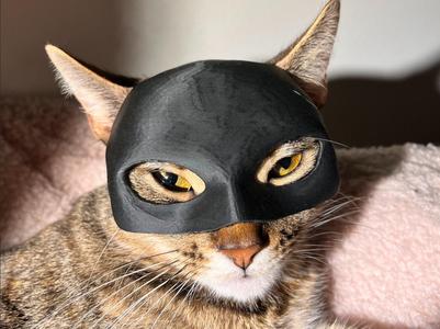 Catwoman Mask For Cats (Feminine Version)