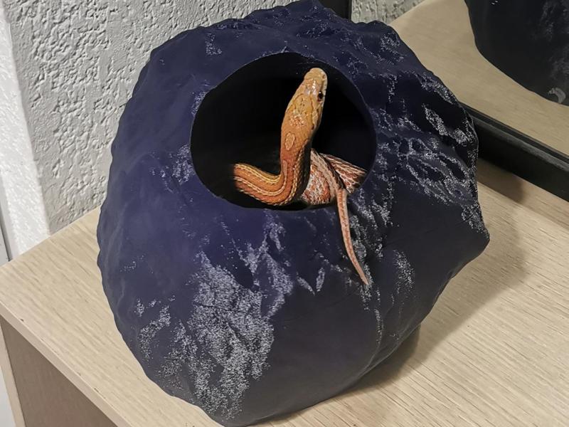 stone pet moulting box