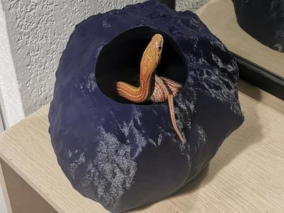stone pet moulting box