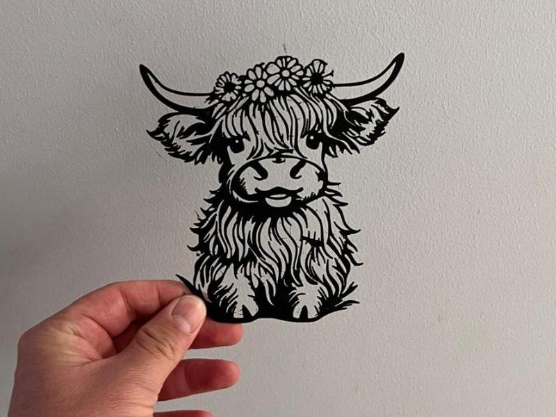 Highland cow